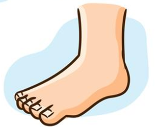 Foot