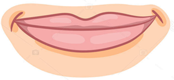 Lip