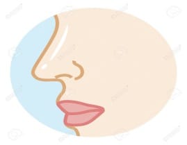 Cheek