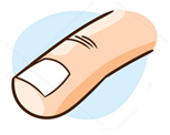 Nail (finger)