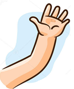 Hand