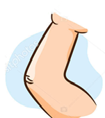 Elbow