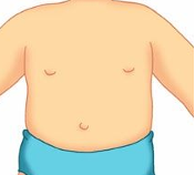 Stomach