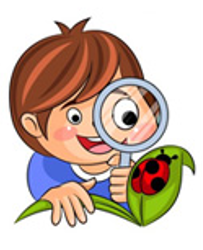 See with eyes