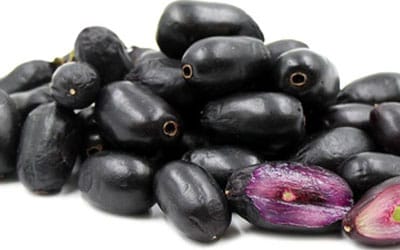 Java plum