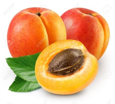 Apricot