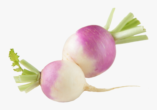 Turnip