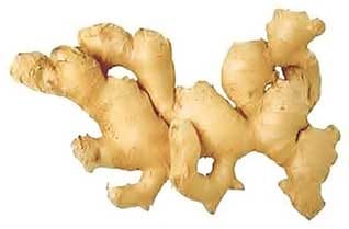 Ginger