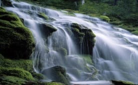 Stream