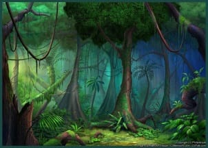 Forest