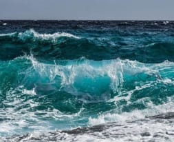 Ocean