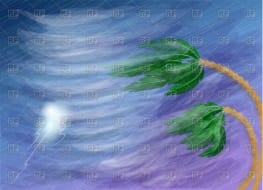 Wind