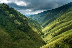 Mountain