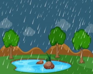 Rain