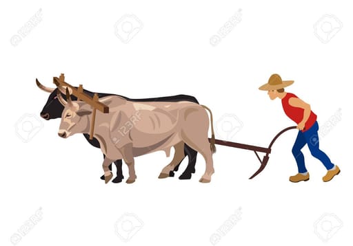 Farmer