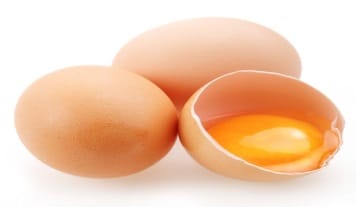 Egg